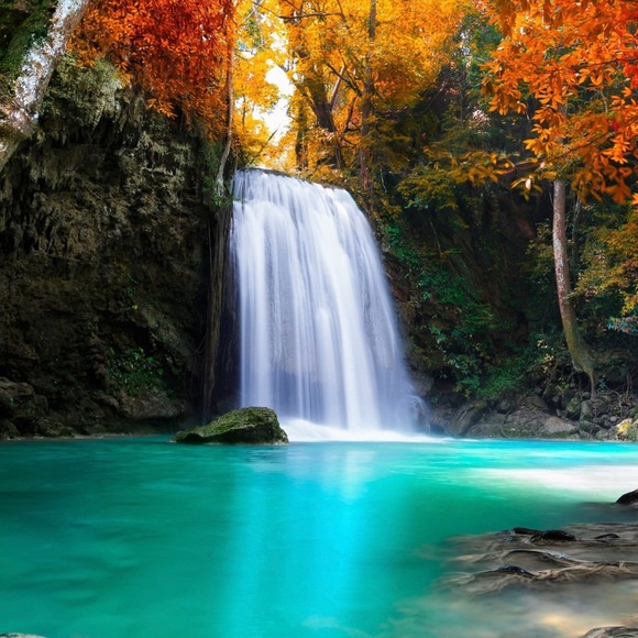 Meet your Posher, Jennie - Picture 1 of 1